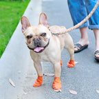 PootShield Botas Impermeables para Perros con Agarre y Comodidad Protectora