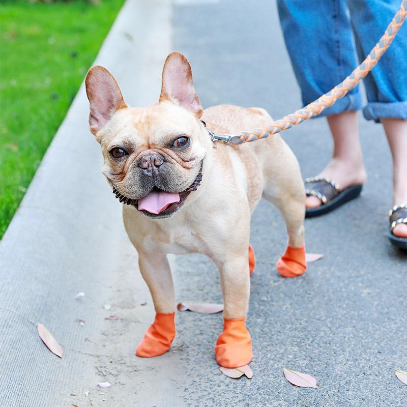 PootShield Botas Impermeables para Perros con Agarre y Comodidad Protectora