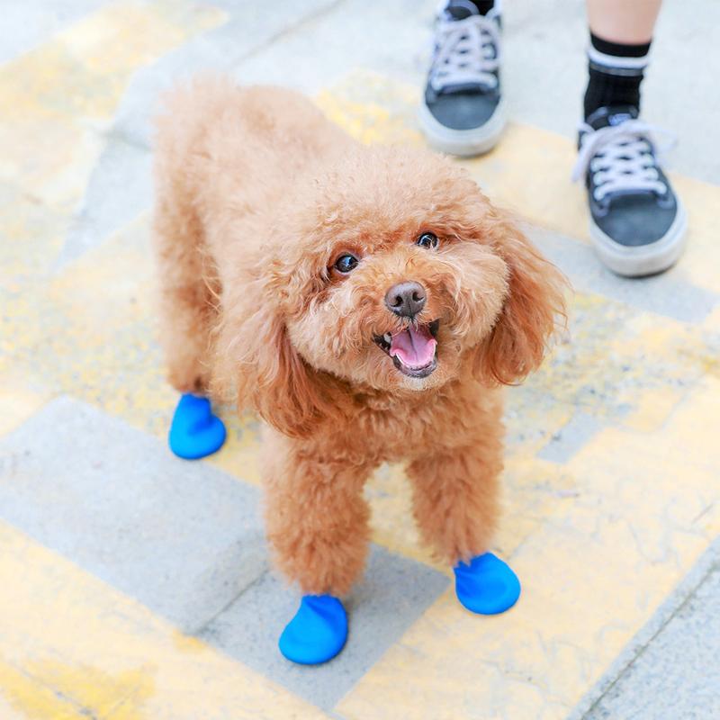 PootShield Botas Impermeables para Perros con Agarre y Comodidad Protectora