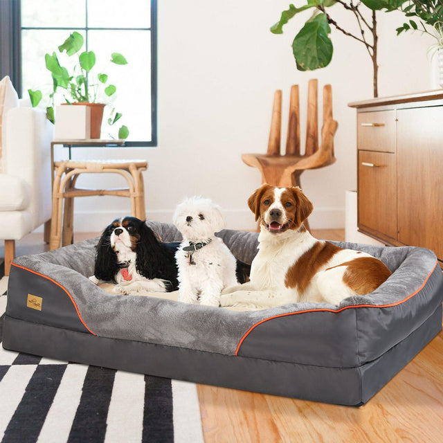 Cama Ortopédica de Espuma Viscoelástica para Perros de Grandes Razas