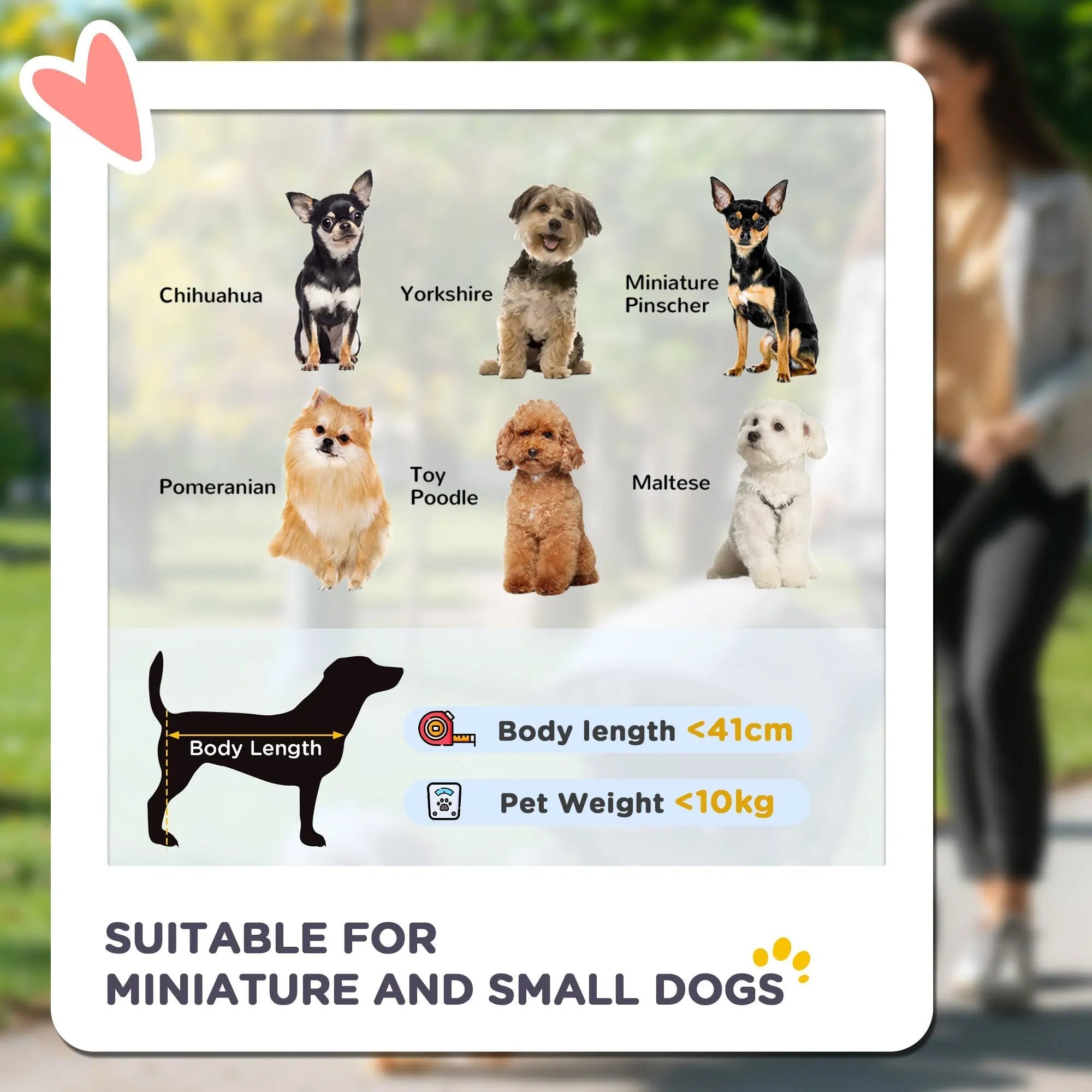 Carrito para Perros de Aventura al Aire Libre con Ruedas y Almacenamiento