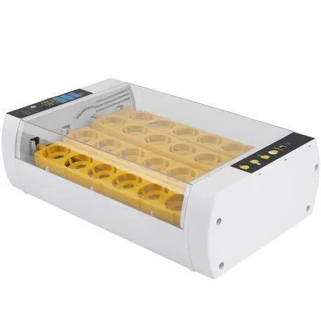 Incubadora de Huevos Premium Automática para Pollos y Codornices, Incubadora de 24 Huevos