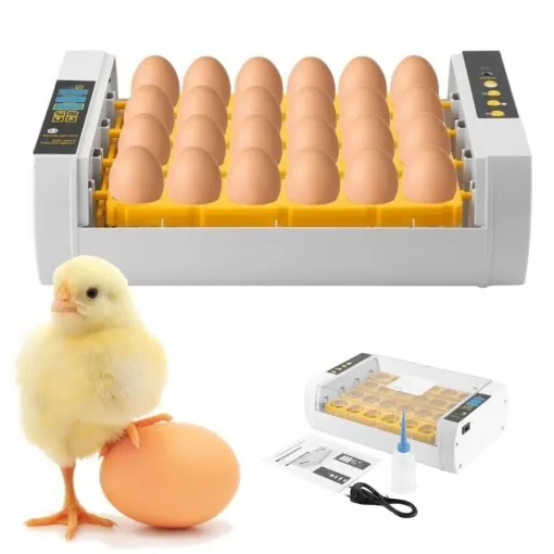 Incubadora de Huevos Premium Automática para Pollos y Codornices, Incubadora de 24 Huevos