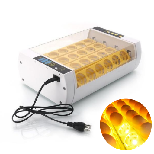 Incubadora de Huevos Premium Automática para Pollos y Codornices, Incubadora de 24 Huevos