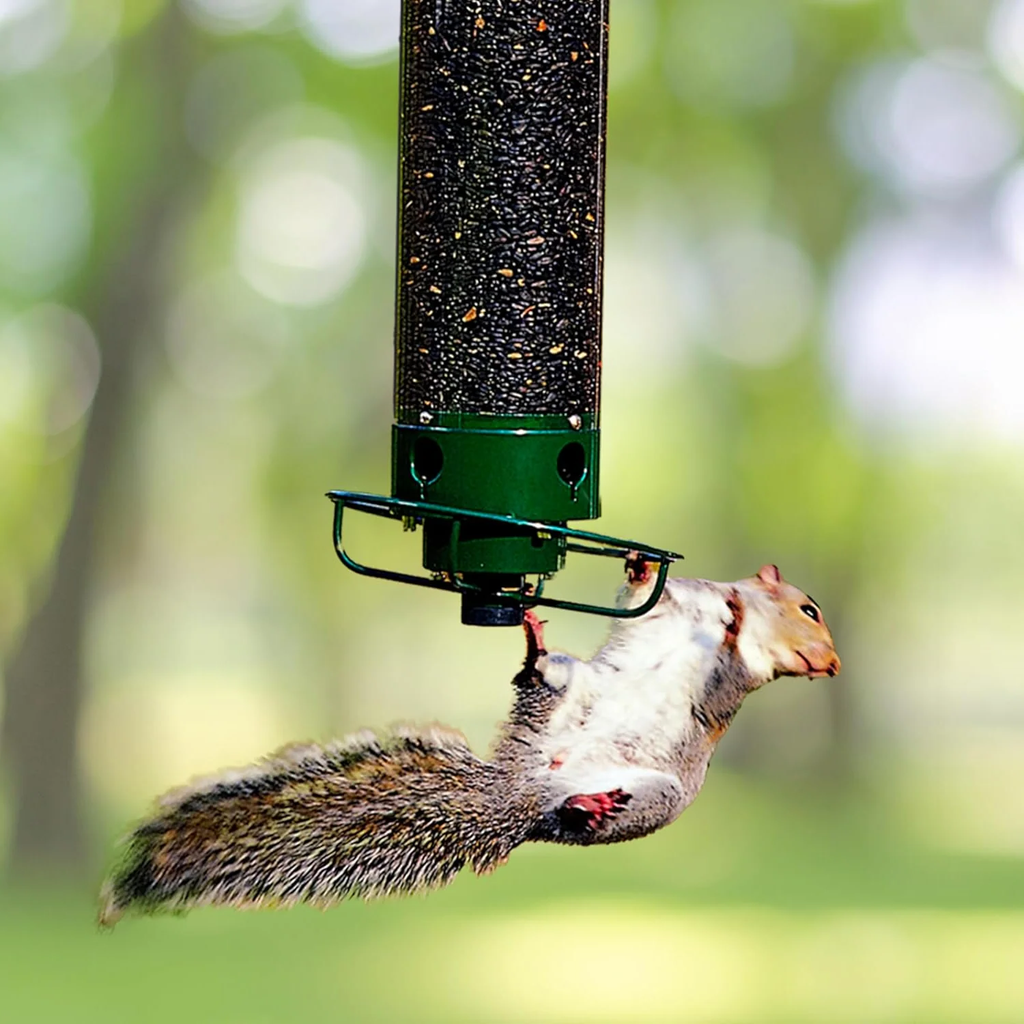 Comedero para Aves Colgante a Prueba de Ardillas de Metal para Jardines