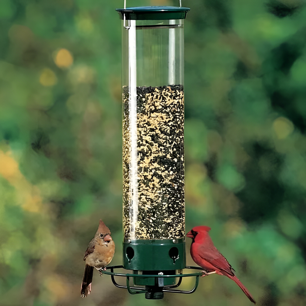 Comedero para Aves a Prueba de Ardillas