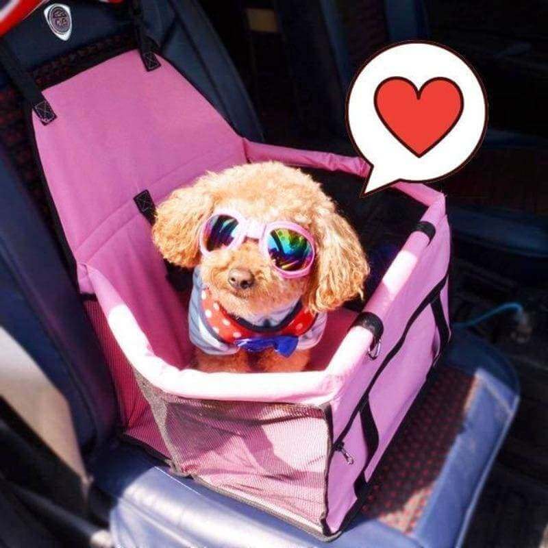 Silla de Auto para Mascotas Segura