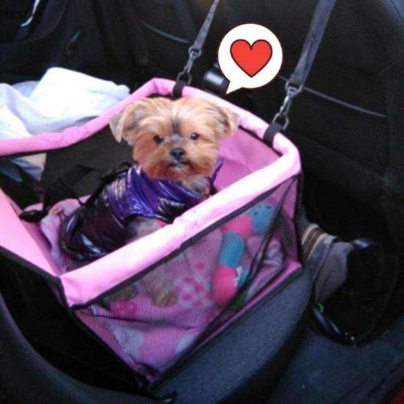 Silla de Auto para Mascotas Segura