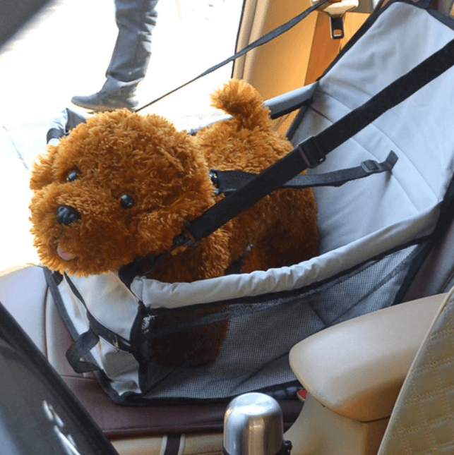 Silla de Auto para Mascotas Segura