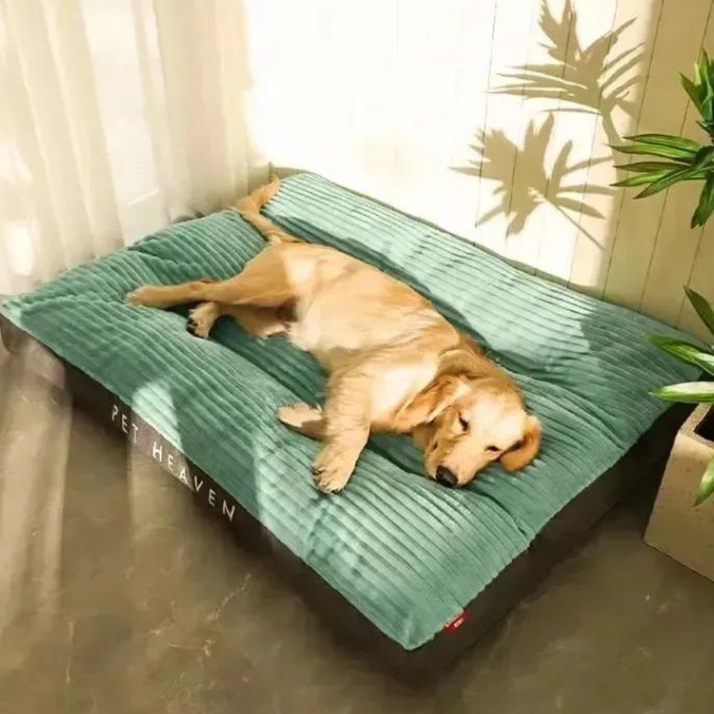 PetHeaven • Cama de Corduroy Sobredimensionada