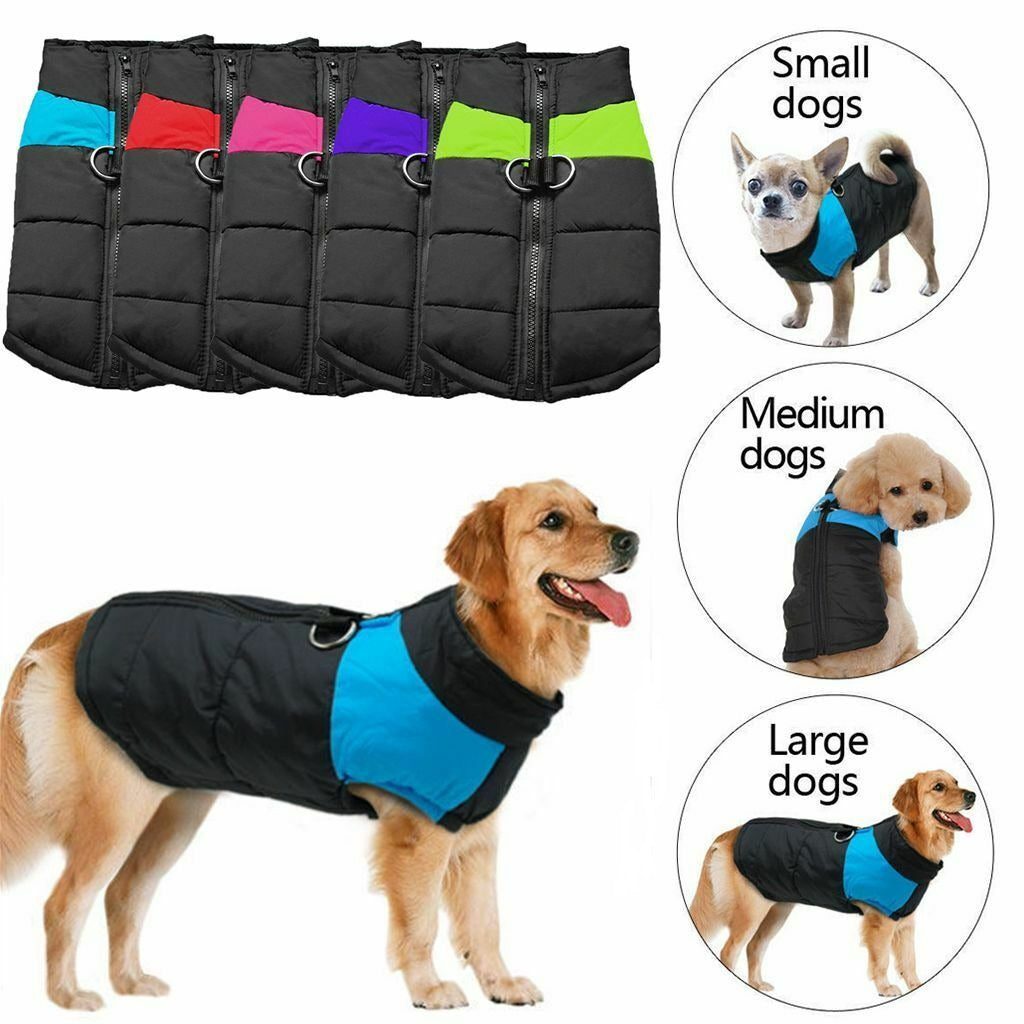 WinterShield™  Calienta a tu perro en invierno | 50% DESCUENTO