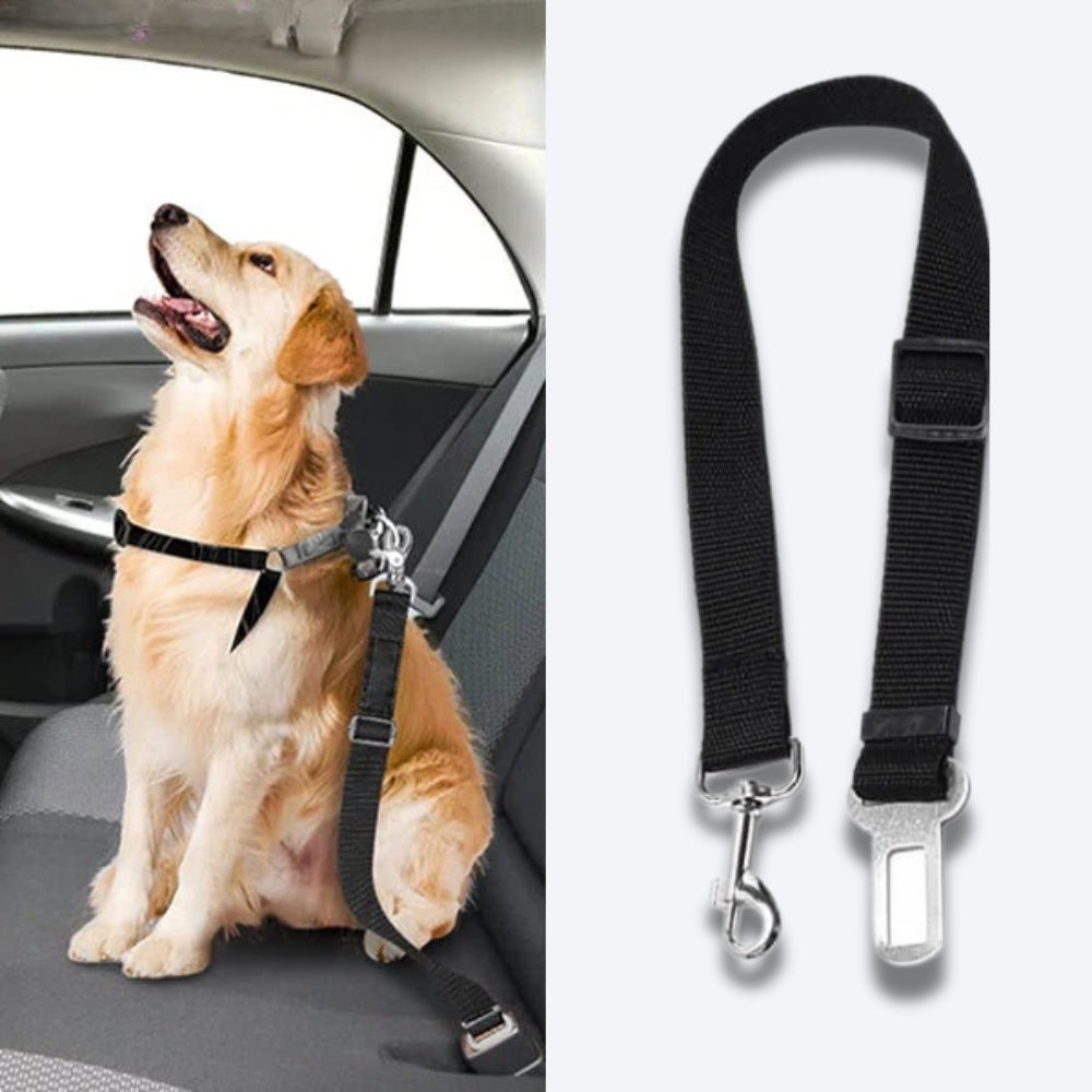 PetSecure • Cinturón de Seguridad para Perros