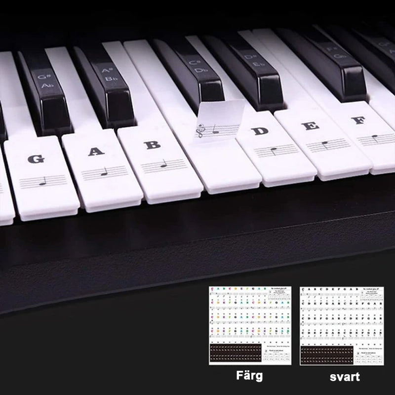 Pegatinas de Teclado para Músicos en Diseño Transparente