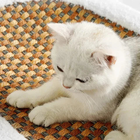 ScratchHaven™ - Rascador para gatos