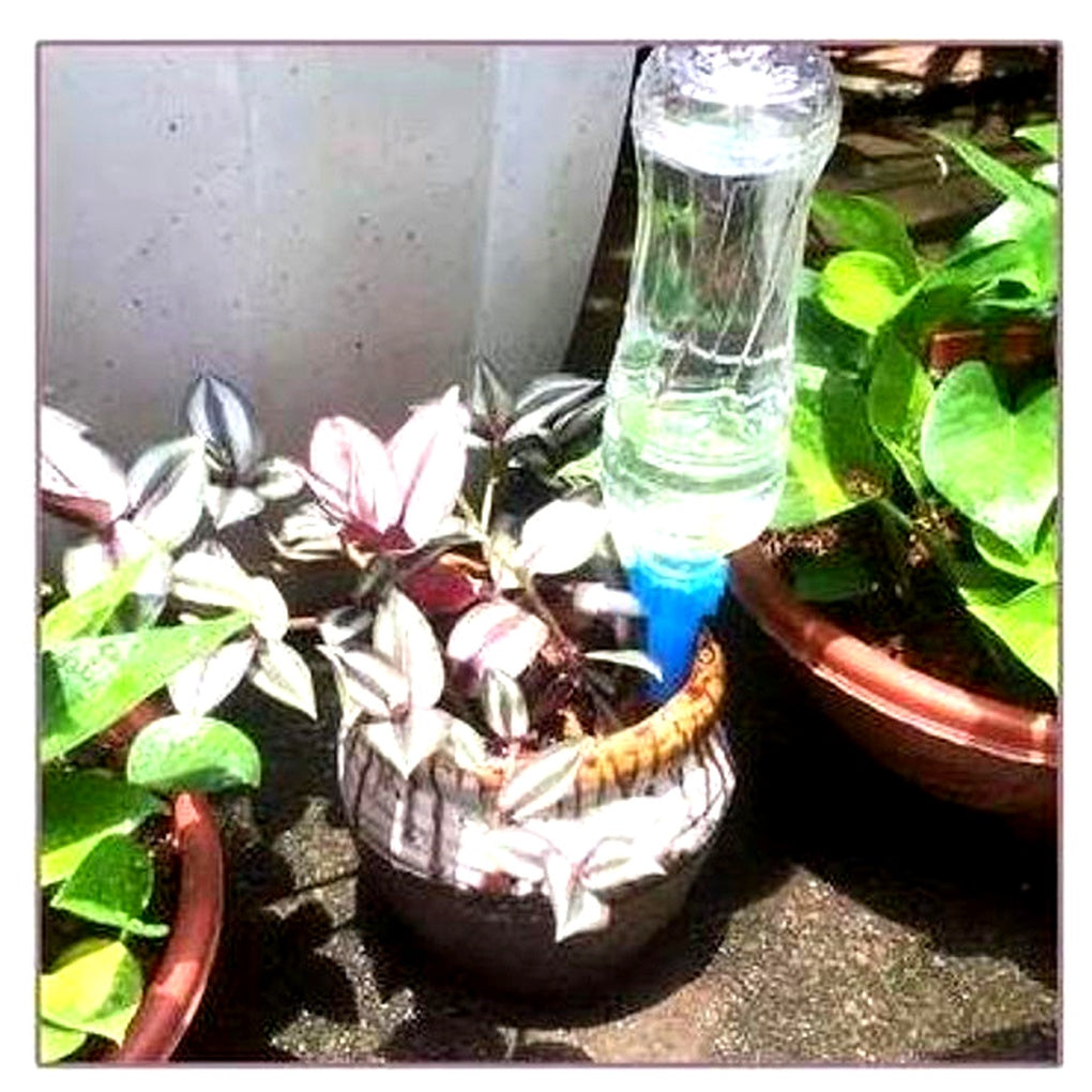 Puntas de riego automáticas para plantas (paquete de 12) – Ayuda de riego ajustable para el jardín