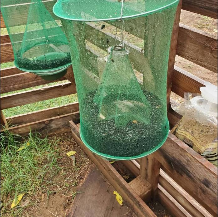 Trampa de insectos colgante – Solución no tóxica para mosquitos, moscas y avispas