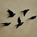 BirdAura - Decoración de Pared de Pájaro Hecha a Mano para el Estilo del Hogar