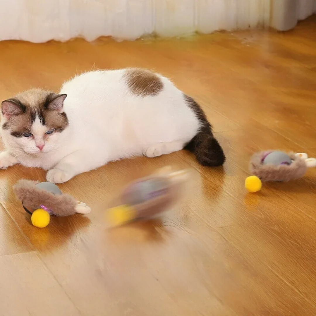 KittyTwirl™ | Pelota de juego interactiva con cola para gatos