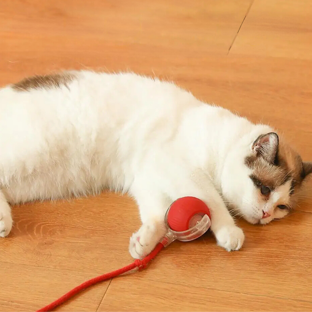 KittyTwirl™ | Pelota de juego interactiva con cola para gatos