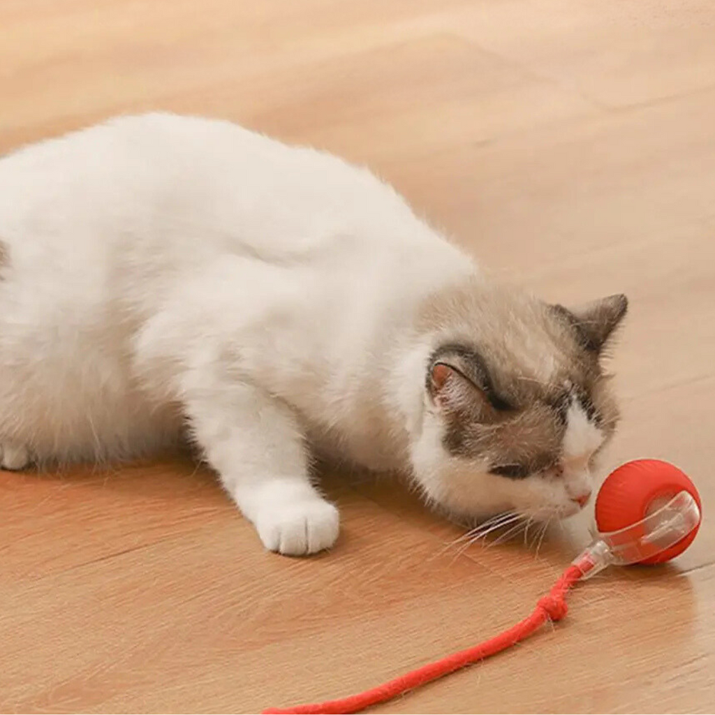 KittyTwirl™ | Pelota de juego interactiva con cola para gatos