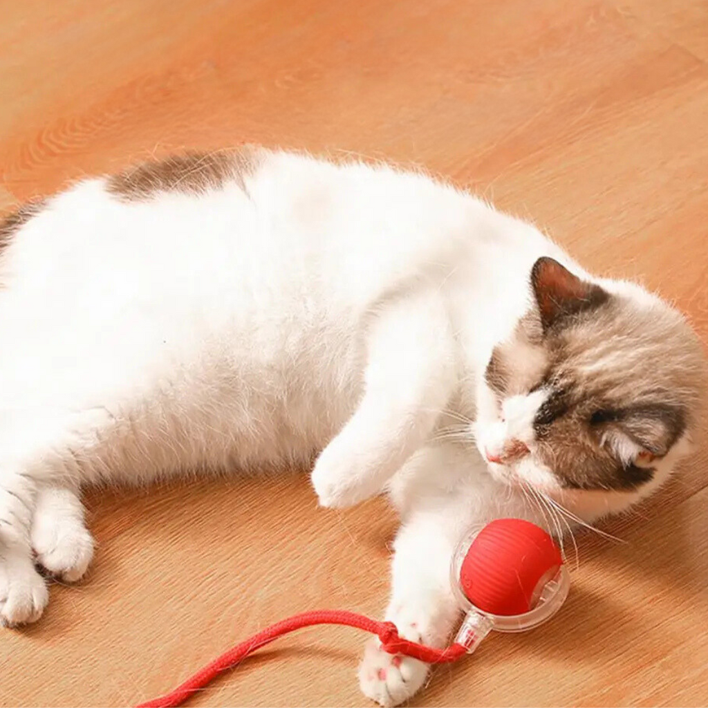 KittyTwirl™ | Pelota de juego interactiva con cola para gatos