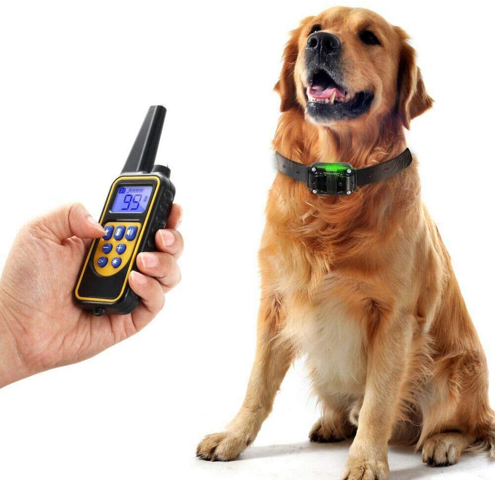 Collar de Entrenamiento Eléctrico Recargable y a Prueba de Agua para Perros