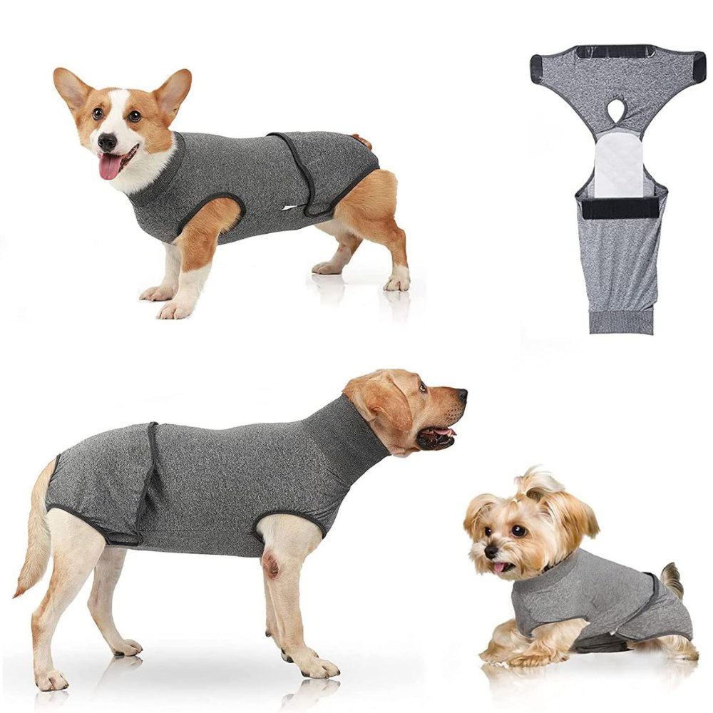 RecoverEase • Traje de Recuperación Profesional para Perros