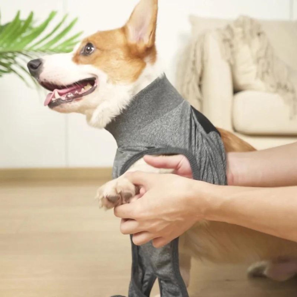 RecoverEase • Traje de Recuperación Profesional para Perros