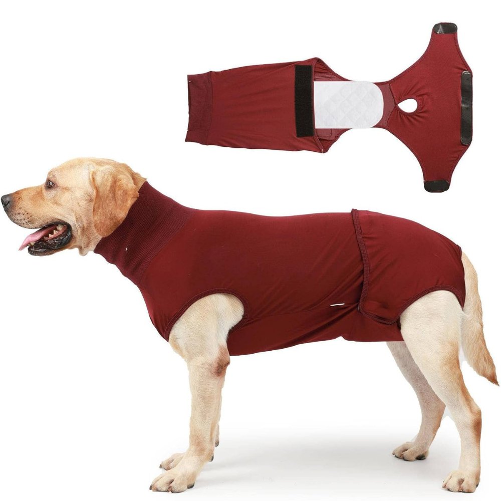 RecoverEase • Traje de Recuperación Profesional para Perros
