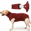 RecoverEase • Traje de Recuperación Profesional para Perros