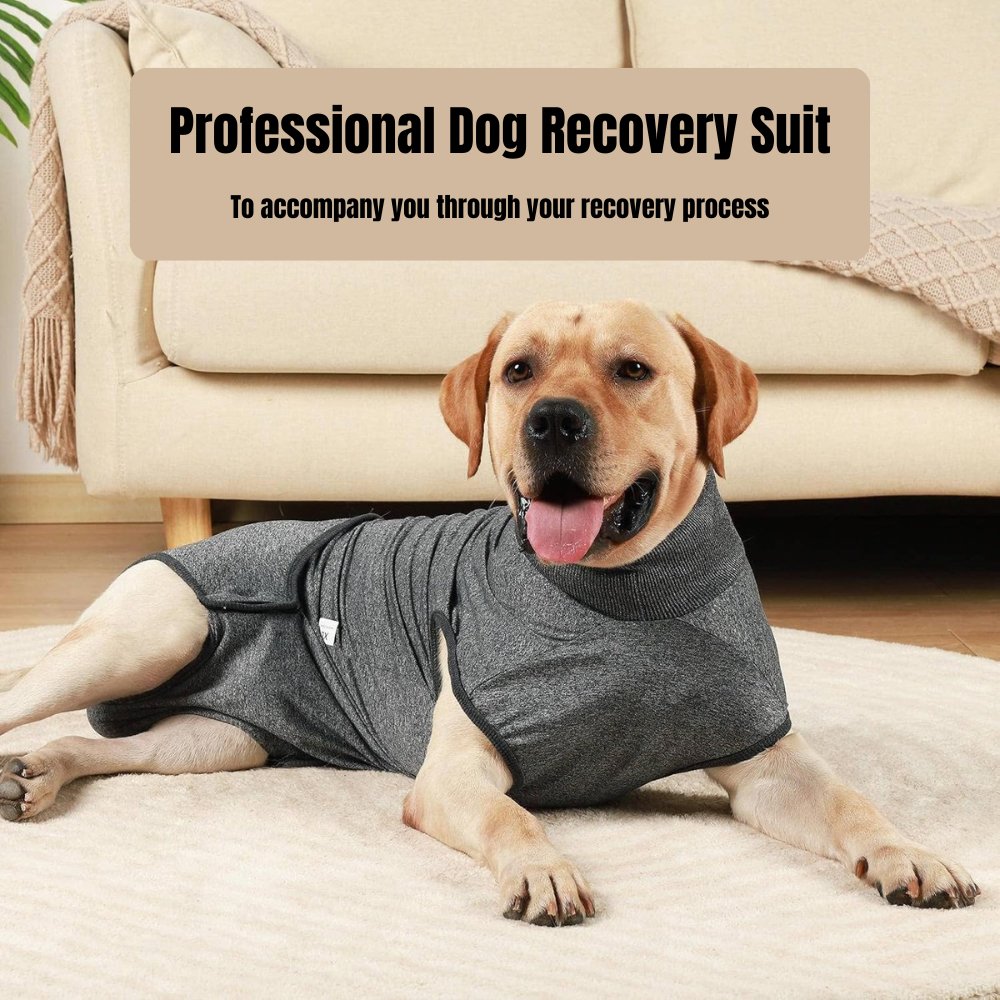 RecoverEase • Traje de Recuperación Profesional para Perros