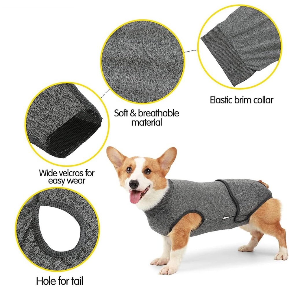 RecoverEase • Traje de Recuperación Profesional para Perros