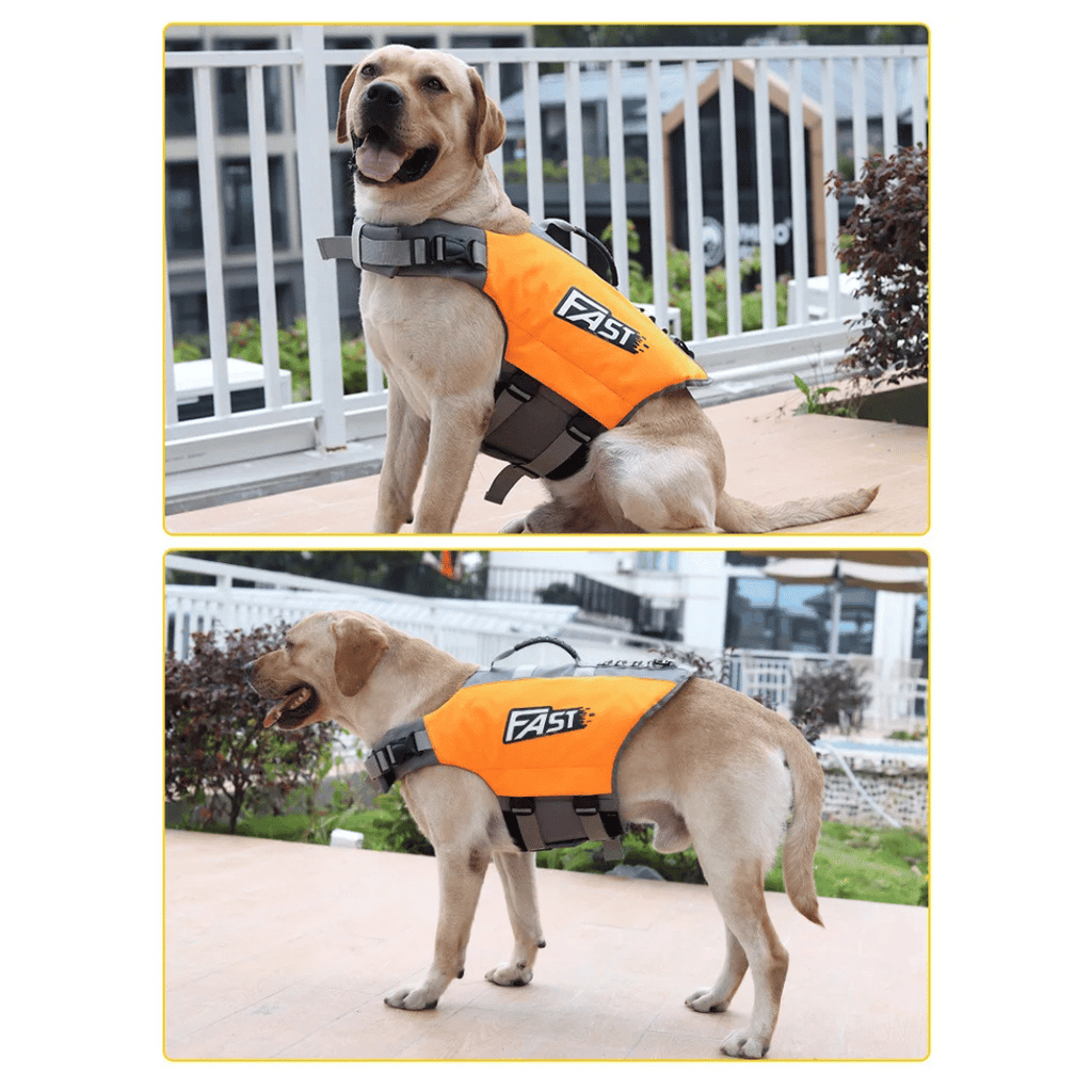 Chaleco Salvavidas Reflectante y Ajustable para Perros para Nadar