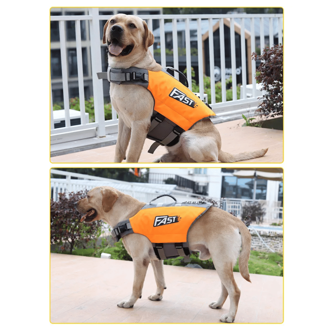 Chaleco Salvavidas Reflectante y Ajustable para Perros para Nadar