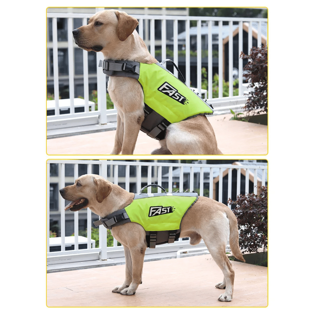 Chaleco Salvavidas Reflectante y Ajustable para Perros para Nadar