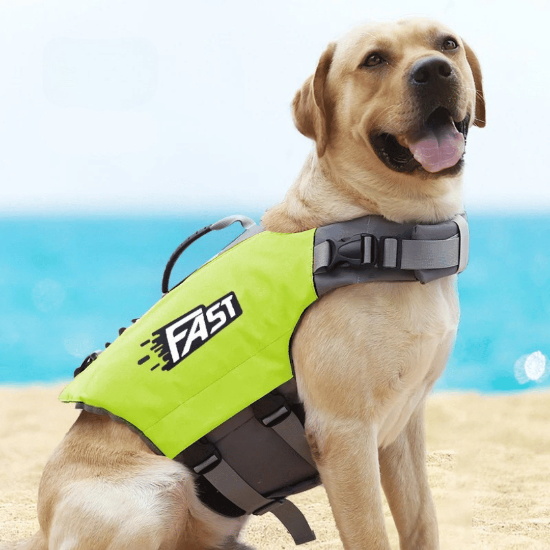 Chaleco Salvavidas Reflectante y Ajustable para Perros para Nadar