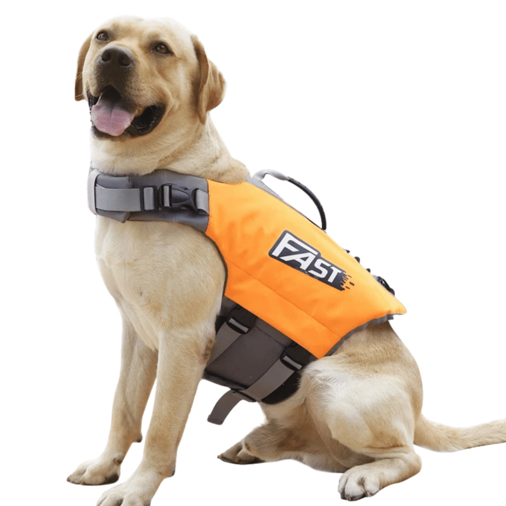 Chaleco Salvavidas Reflectante y Ajustable para Perros para Nadar