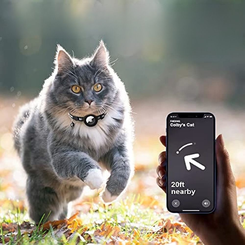 Collar GPS para Gatos con Diseño Reflectante