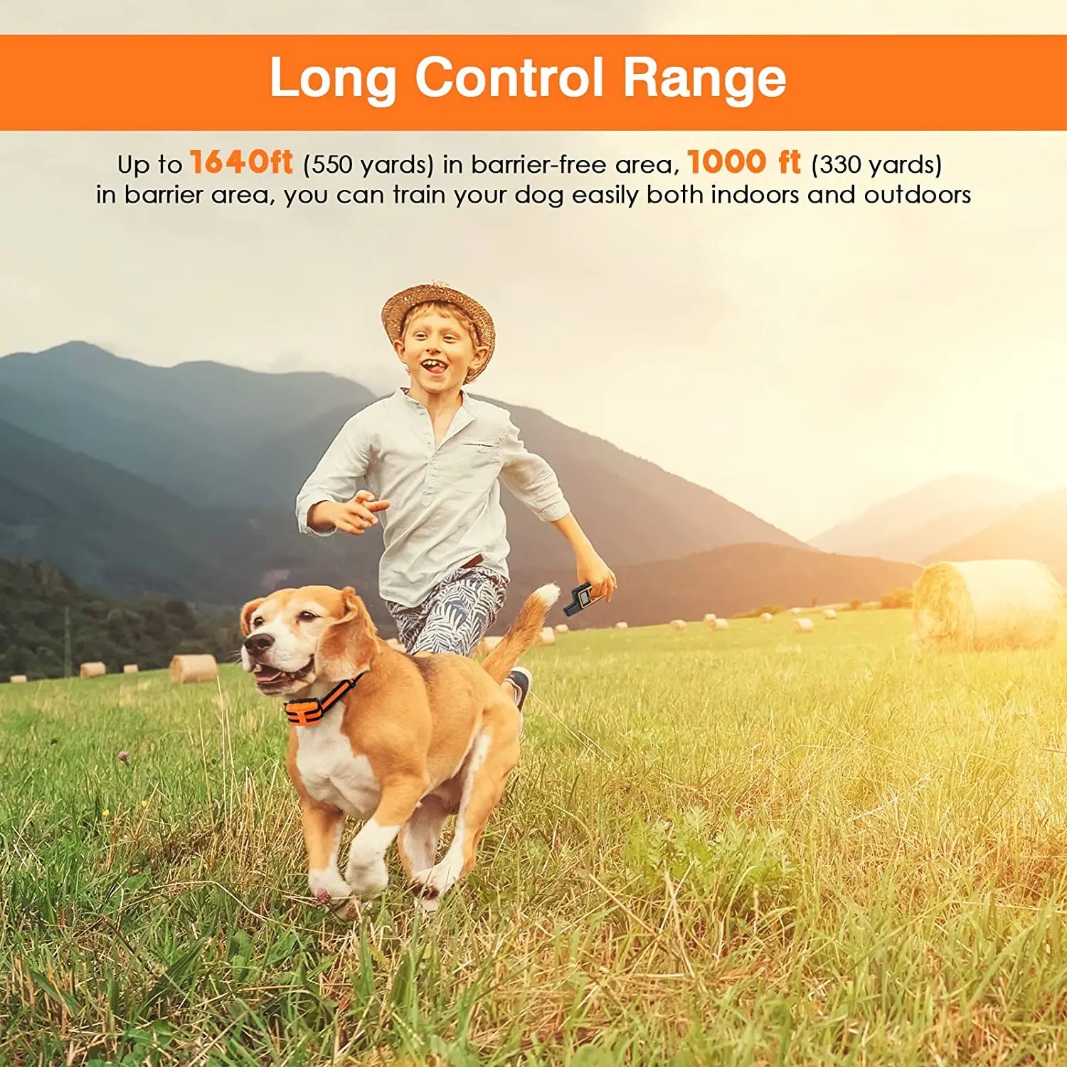 Collar de Entrenamiento para Perros con Control Remoto Ajustable de 5 Niveles