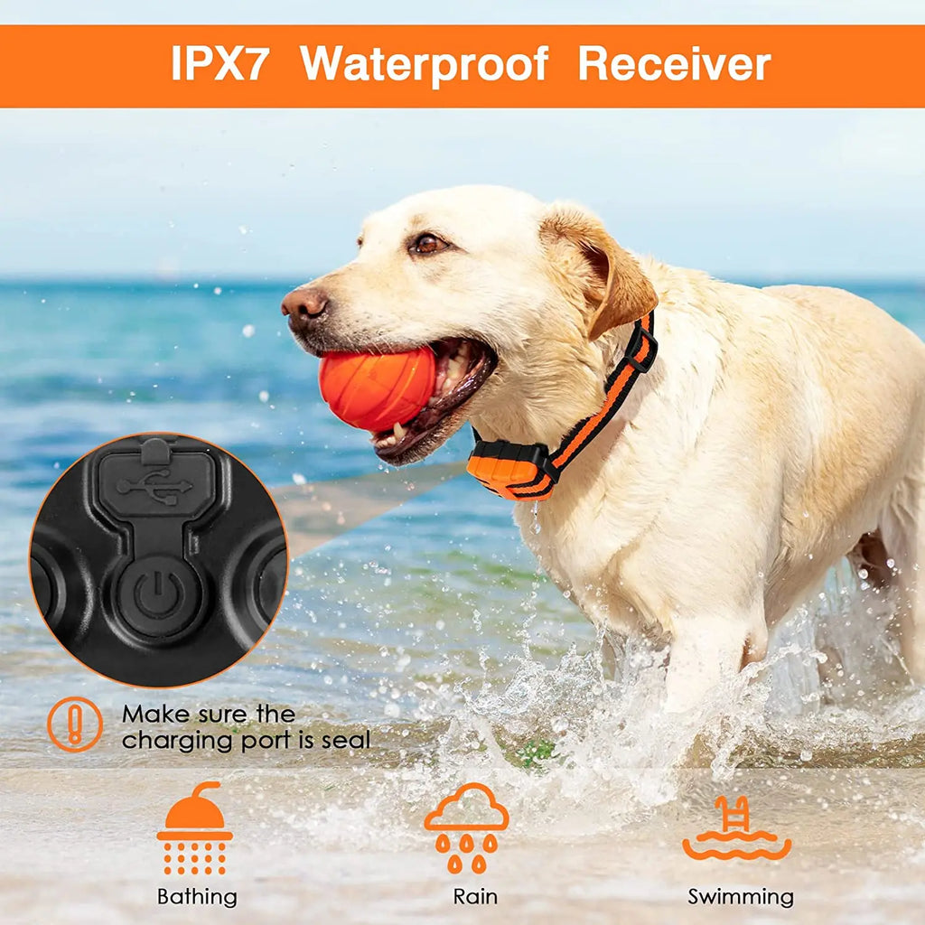 Collar de Entrenamiento para Perros con Control Remoto Ajustable de 5 Niveles