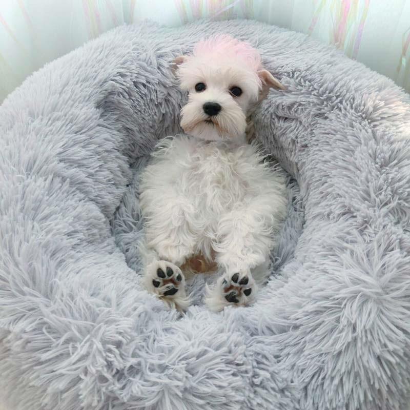 Cama para Mascotas Redonda Acogedora - Suave y Calmante