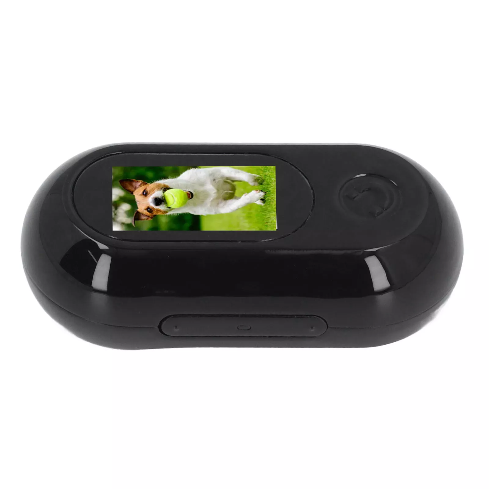 Cámara miniatura para collar de gato – Vista inmersiva de 360°