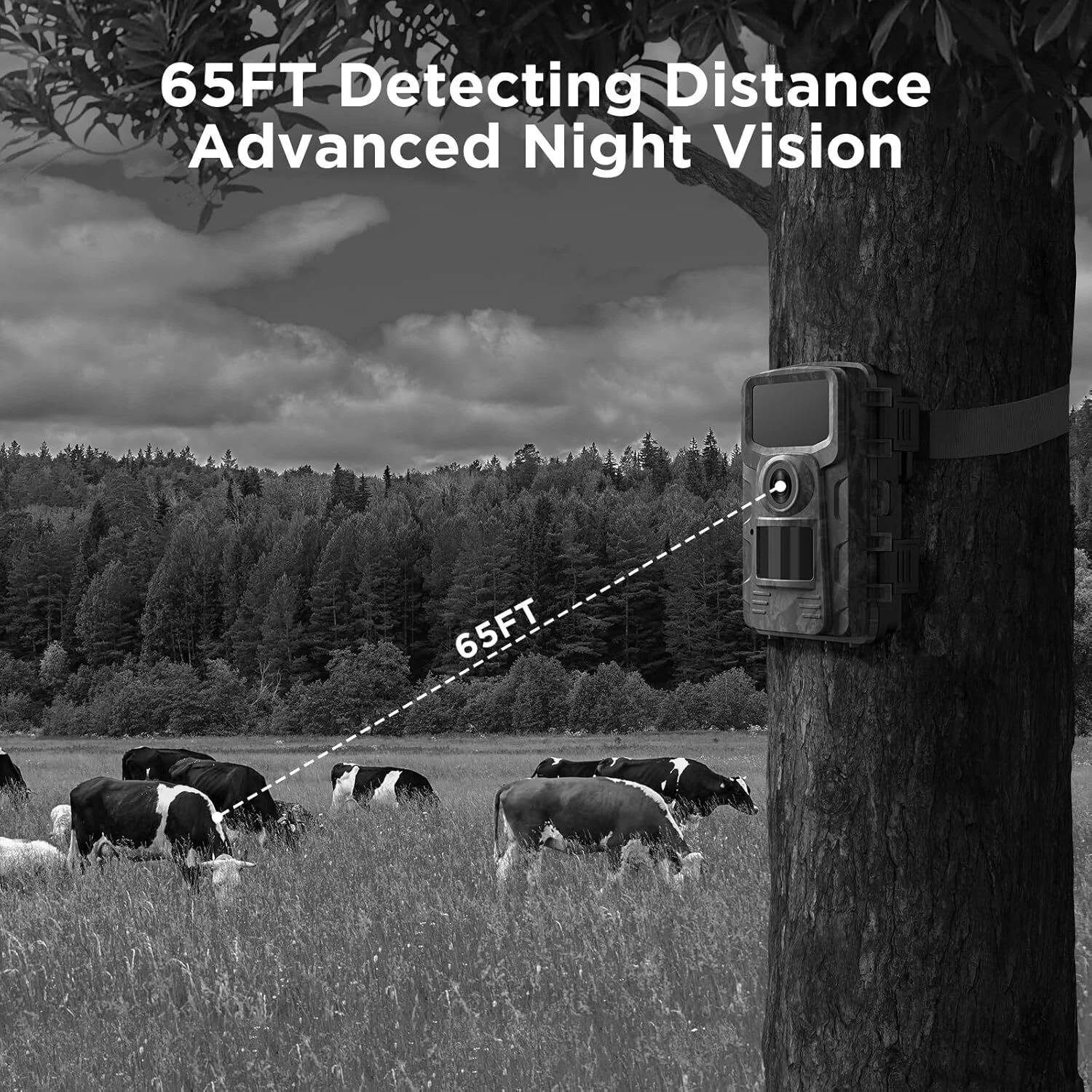 Cámara de Animales Silvestres para Exterior con Visión Nocturna