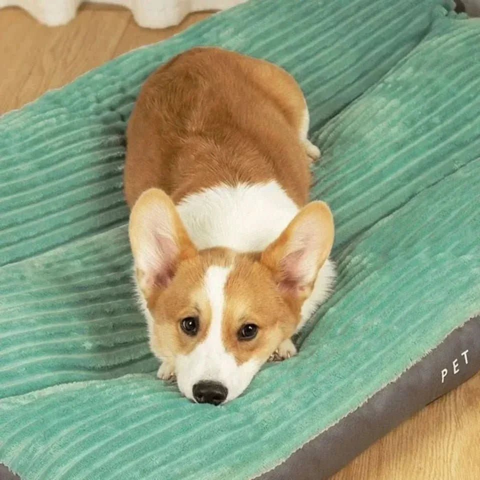 FlauschNest Cama Ortopédica para Perros – Acogedora y de Soporte para Noches Reparadoras