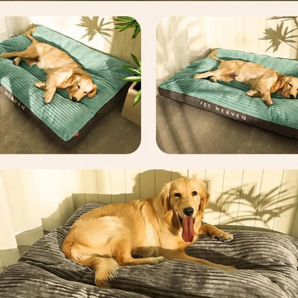 Cojín Ortopédico para Perros con Funda Desmontable
