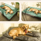 FlauschNest Cama Ortopédica para Perros – Acogedora y de Soporte para Noches Reparadoras