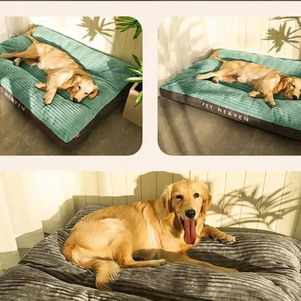 FlauschNest Cama Ortopédica para Perros – Acogedora y de Soporte para Noches Reparadoras