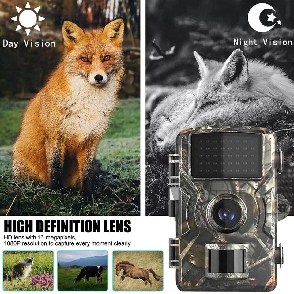 Cámara de Animales Silvestres para Exterior con Visión Nocturna