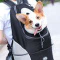 PetBuddy – Bolsa de perro cómoda para aventuras seguras | 50% DESCUENTO