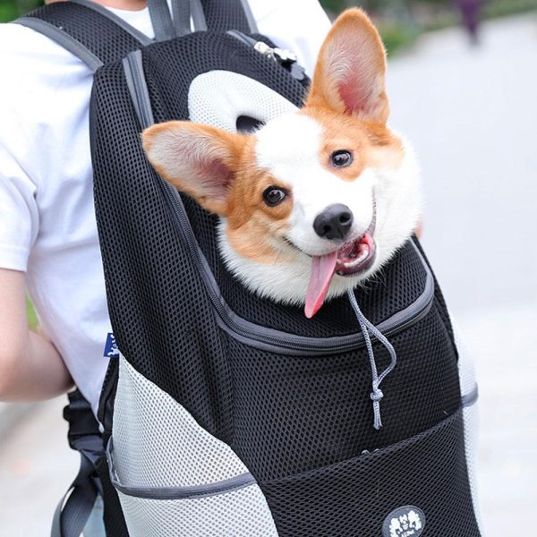 PetBuddy – Bolsa de perro cómoda para aventuras seguras | 50% DESCUENTO